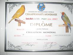 Weltmeisterdiplom